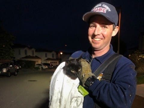 https://patch.com/img/cdn20/users/21854731/20190509/074922/styles/patch_image/public/catrescue-20190509194021-69454400-20190509194045-55674300.jpg