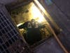 Cat rescue in Castro Valley