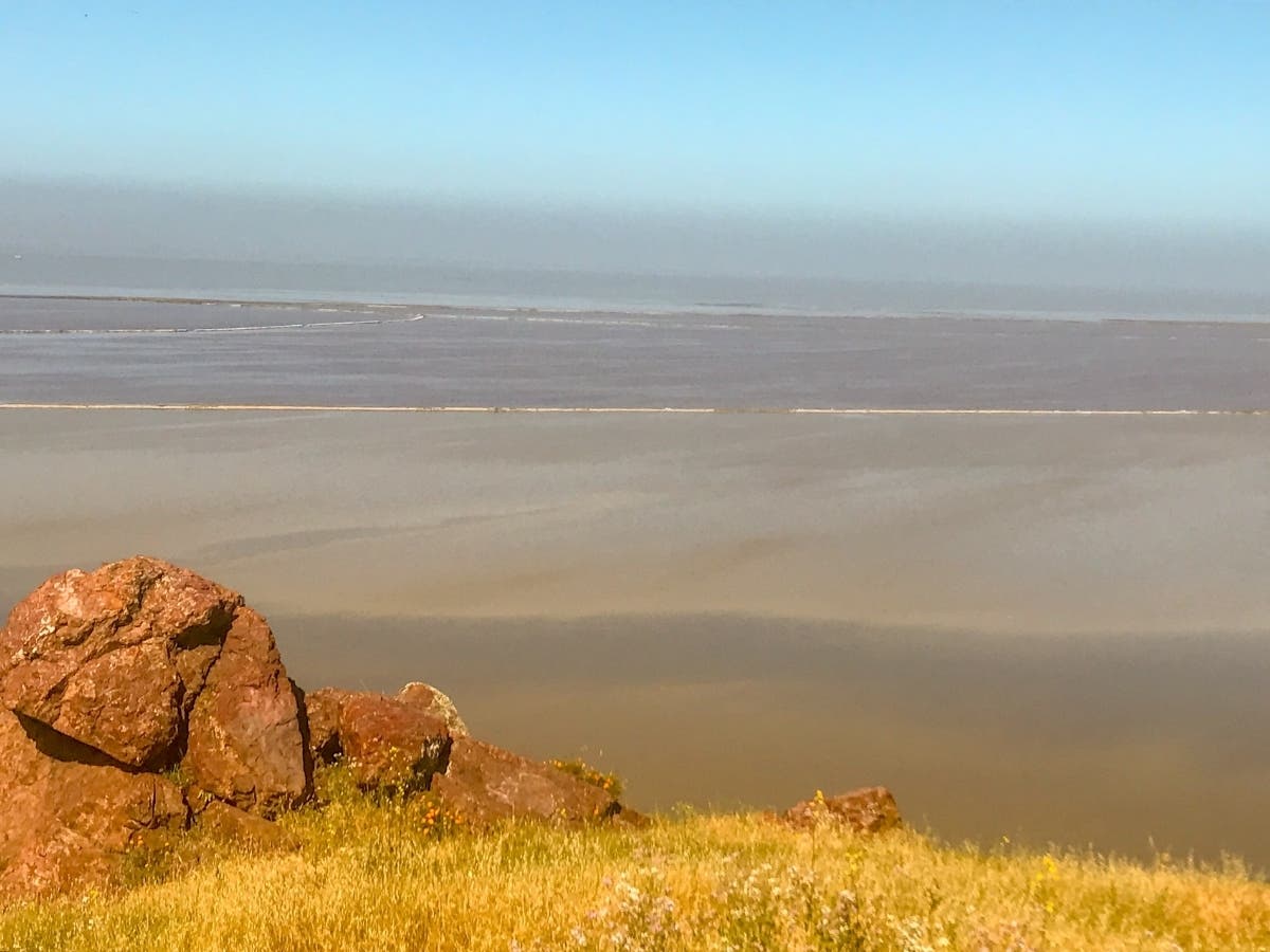 Coyote Hills Regional Park​​