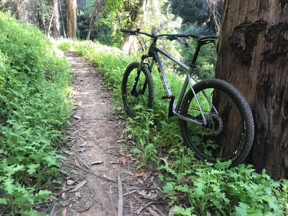 Trail at Lake Chabot