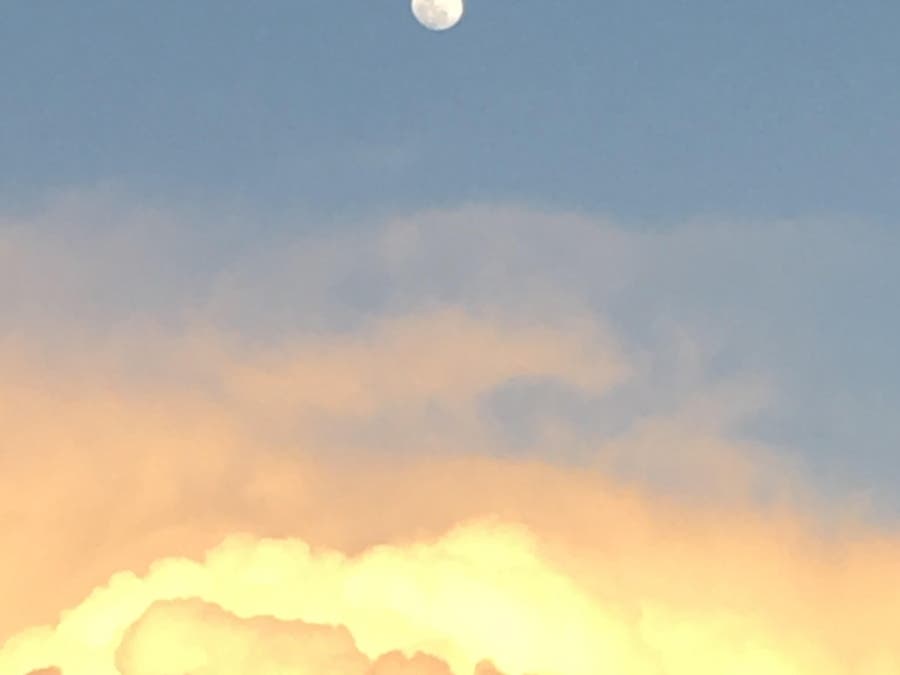 Photo from Alameda, Calif.
