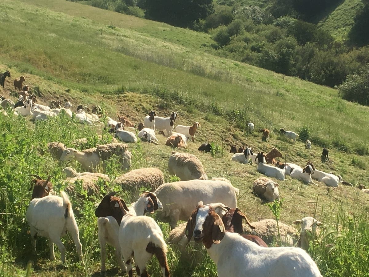 Garin Park in Hayward, Calif