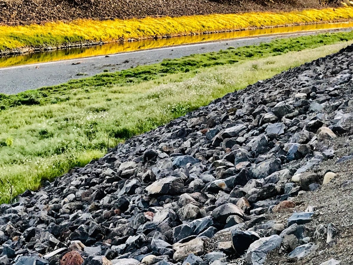 Alameda Creek, Fremont, Calif.