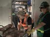 Volunteers empty the walk-in freezer at the Senior Center
