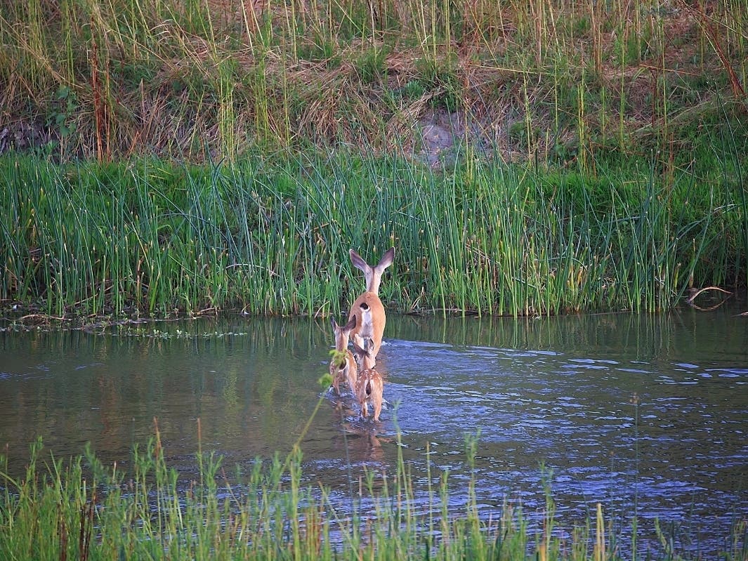 Photo taken on the Fremont/Union City border, Calif.