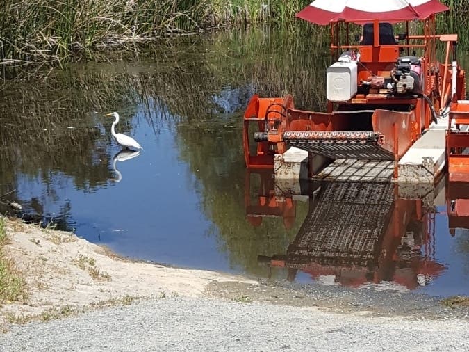 This photo was taken at Heather Farm Lake in Walnut Creek, Calif.
