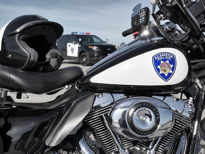 The K9 steals our heart every time!