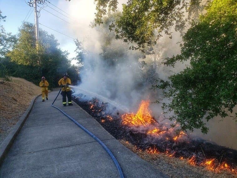 Firefighters battled a vegetation fire on Thursday
