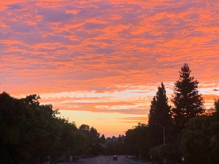 Sunset, Fremont, Calif