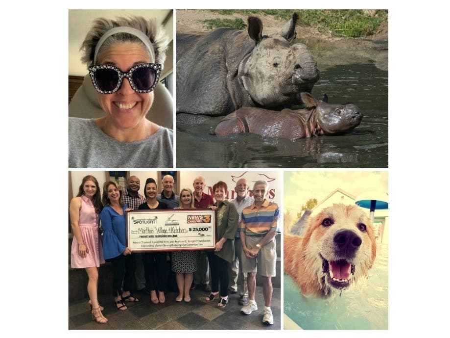 Our Saturday Smiles Stories Will Make Your Day