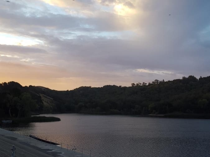 This photos was taken at Lafayette Reservoir, Calif.