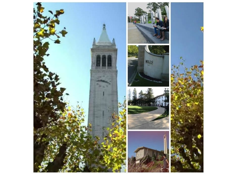 5 East Bay colleges are ranked.