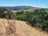The stunning hills of Northern California