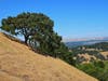 The stunning hills of Northern California