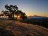Sunrise in Dinosaur Hill Park in Lafayette, Calif.