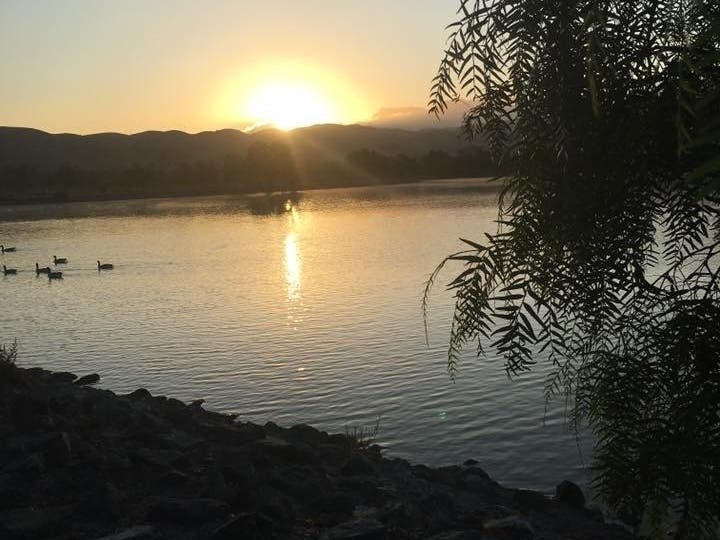 This photo was taken in Fremont, Calif.