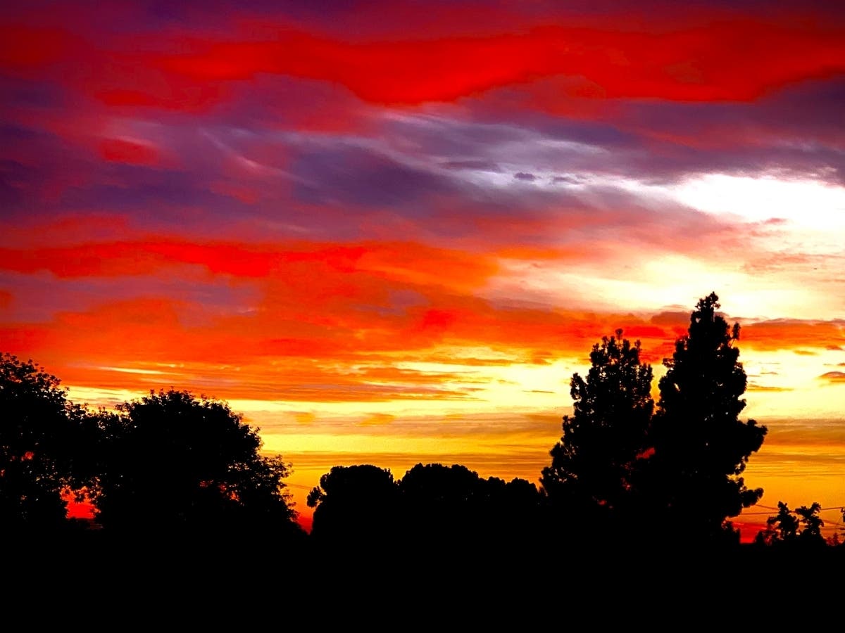 Look at the colors!