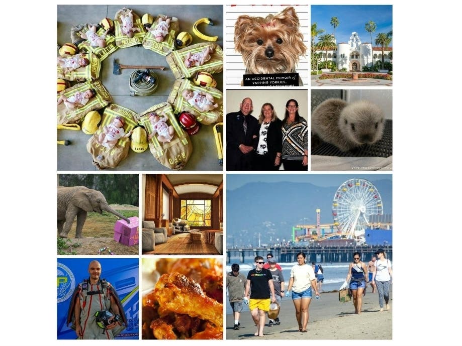 News small post card thumbnail