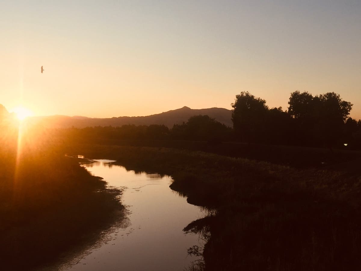 Sunrise in Fremont, Calif.
