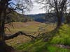 The area near Folsom Lake in California