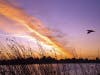 Photo taken at Lake Elizabeth in Fremont, Calif.