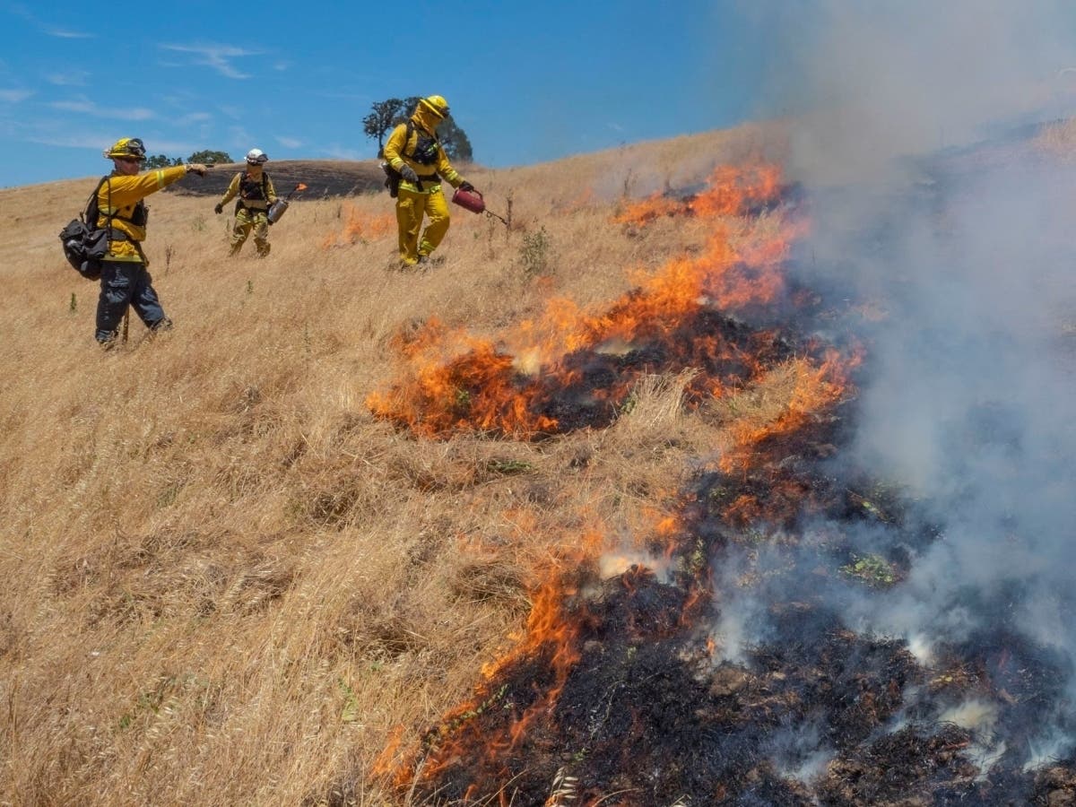 Moraga-Orinda firefighters work at a previous  controlled burn.