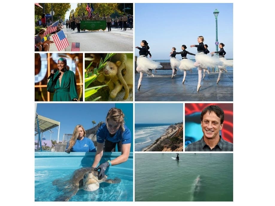 A Southern California Veterans Day parade; a whale swims beneath surfers;and more stories to brighten your weekend.