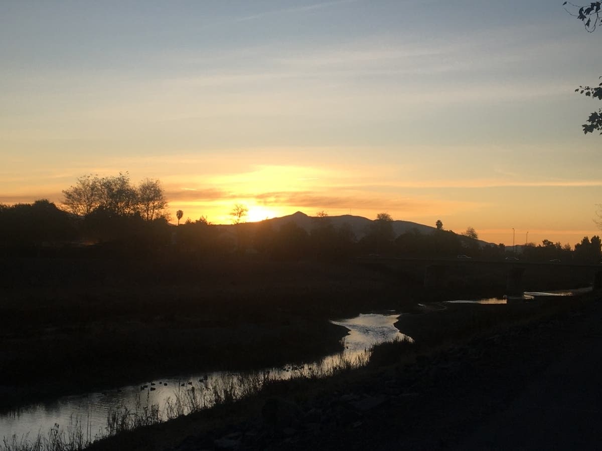 This photo was taken along Alameda Creek in Fremont, Calif.