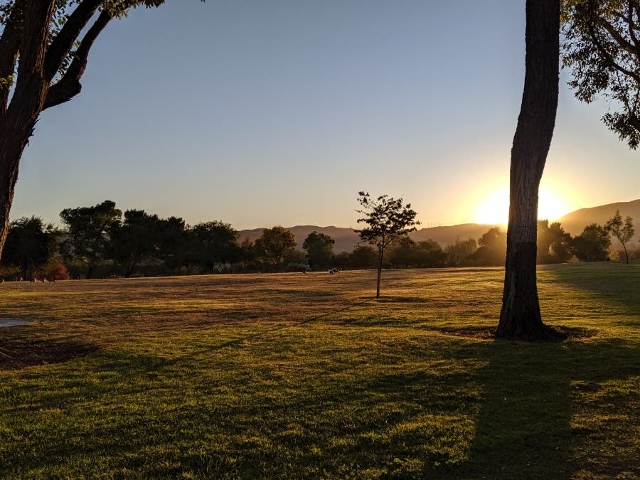 This photo was taken just as the sun came over the horizon at Lake Elizabeth, Fremont, Calif.