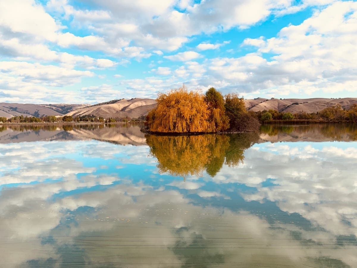 This photo shows Lake Elizabeth in Fremont, Calif., using a filter.