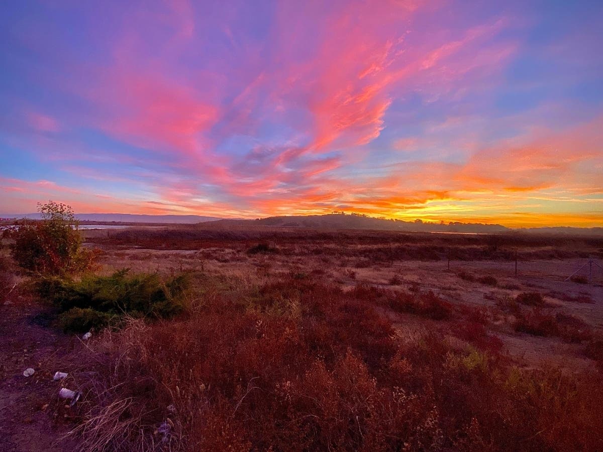 Photo taken from Thornton Avenue in Newark, Calif. Dec. 2019.