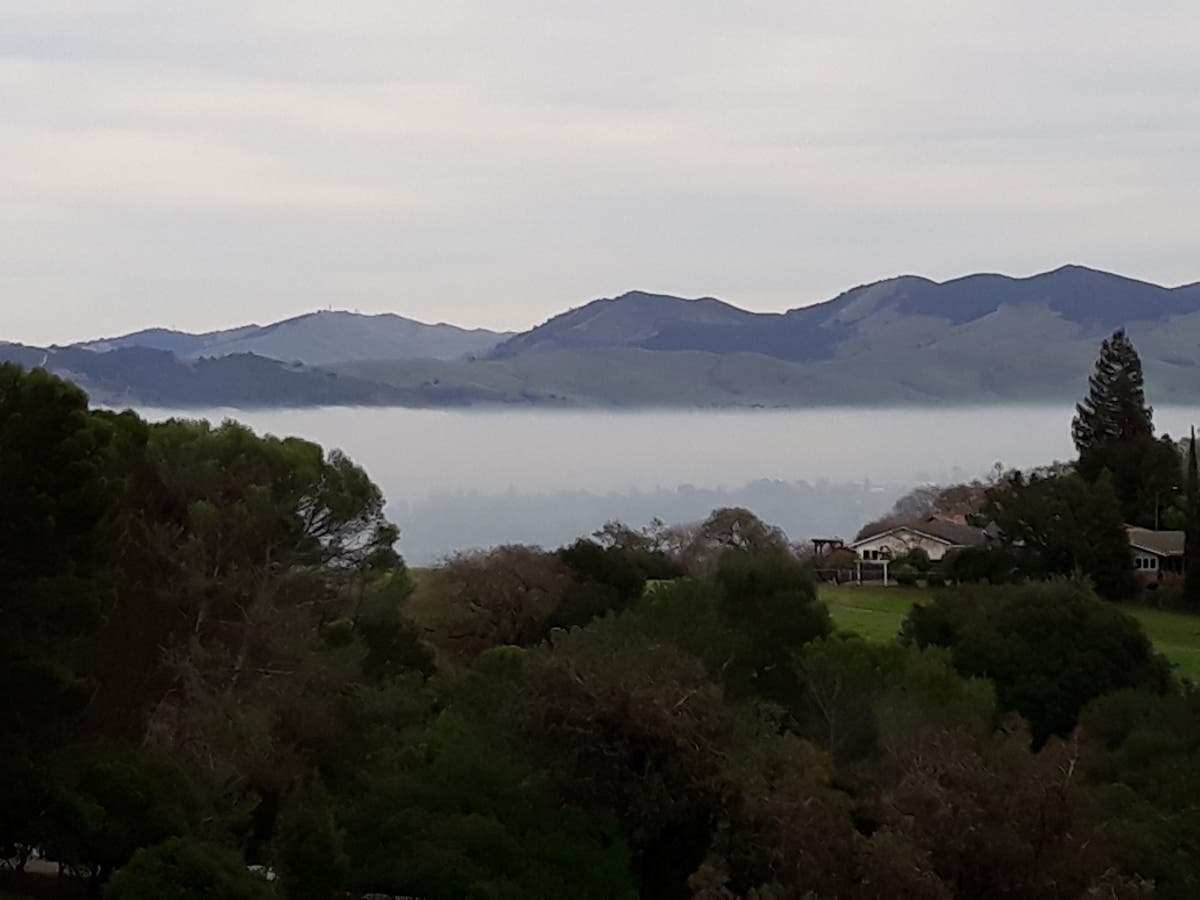 Mount Diablo, in the San Francisco Bay Area's East Bay, from Walnut Creek, Calif.