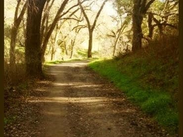 This hiking trail is at Castle Rock Regional Recreation Area in Walnut Creek, Calif.