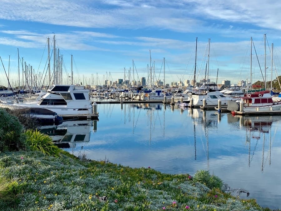 Marina in Alameda, Calif.