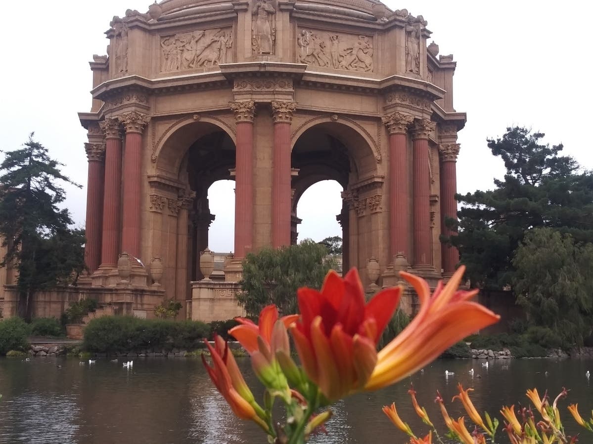 Flowers bloom near the Palace of Fine Arts in San Francisco.