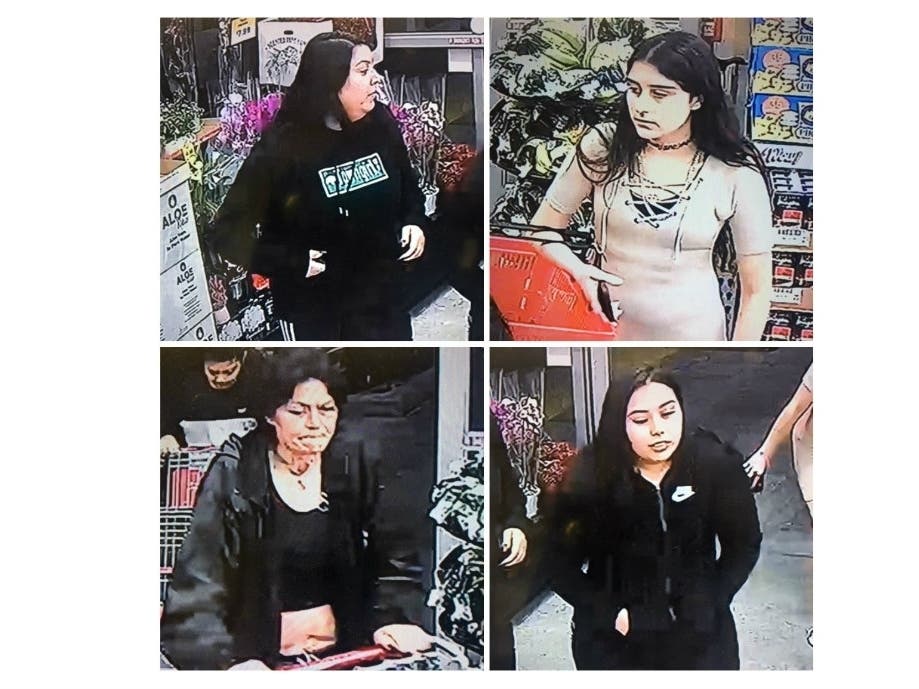 Do you recognize any of these women? Police need the public's help to track them down.