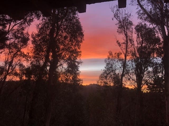 January sunrise snapped in the Oakland Hills, Calif.