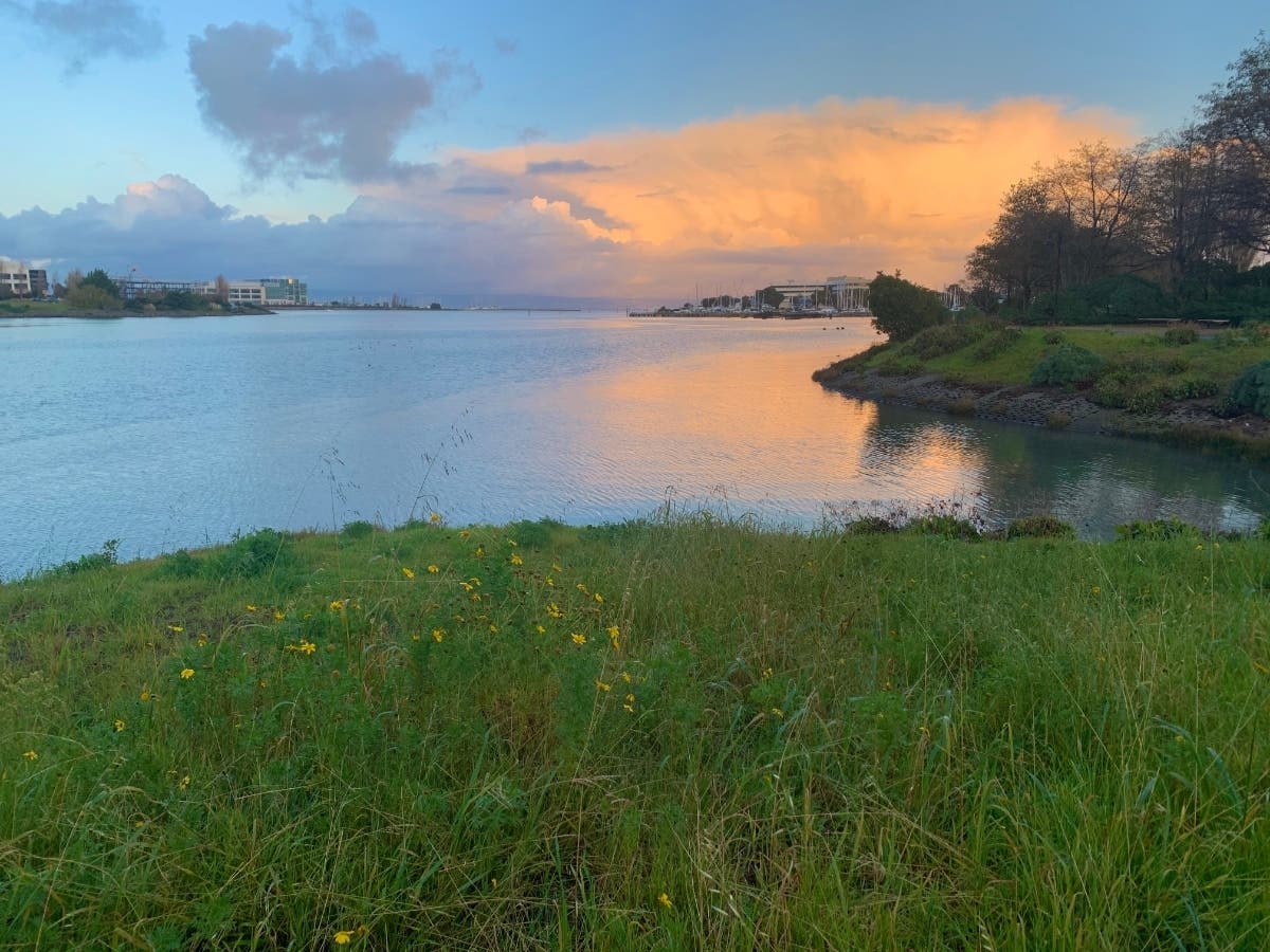 Storm clouds reflected on the water at Oyster Point, San Francisco Bay.