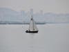 Sailboat in San Francisco Bay. Photo taken from at Cesar Chavez Park, Berkeley, Calif.