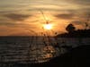 The setting sun over San Francisco Bay, at Albany Bulb, Albany, Calif.