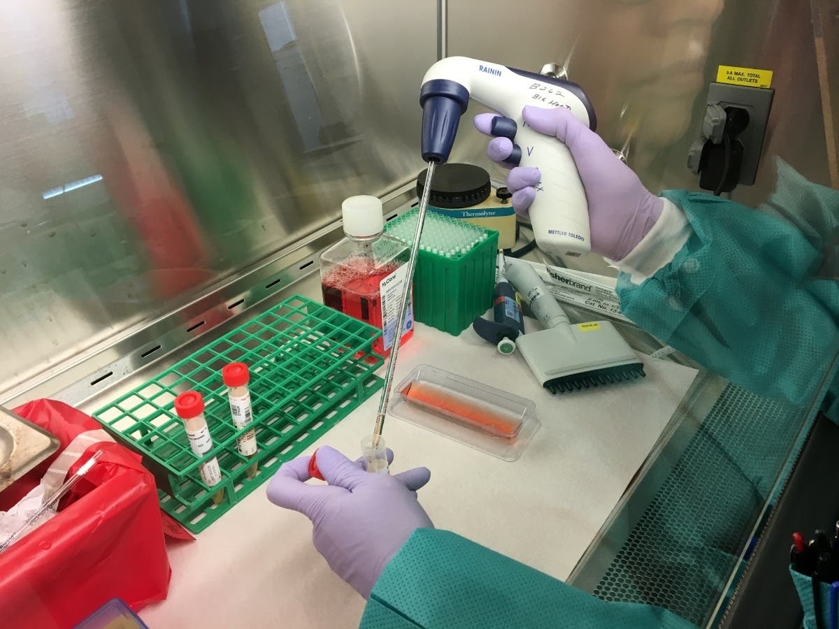 State testing lab in Richmond, where suspected coronavirus samples are being analyzed.