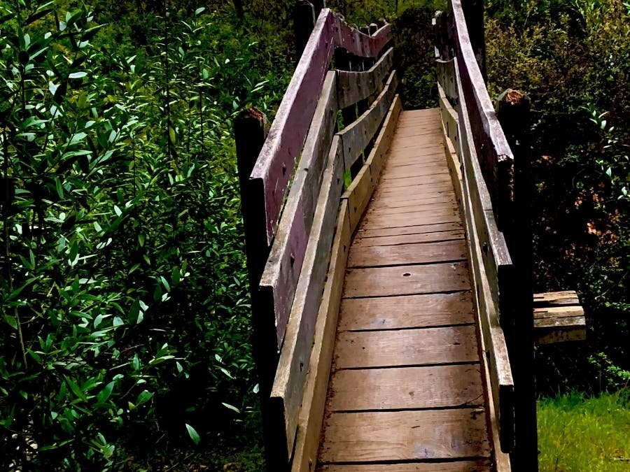 Footbridge for hikers at Garin Regional Park, Hayward, Calif.