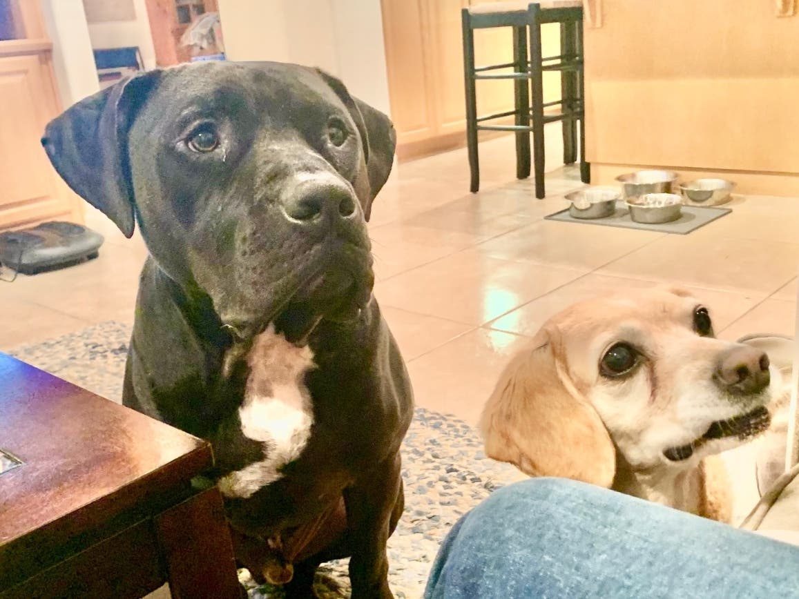 We like snacks. Is that snack for us?