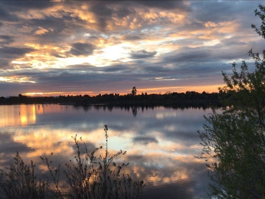 Quarry Lakes Regional Park in Fremont, Calif.