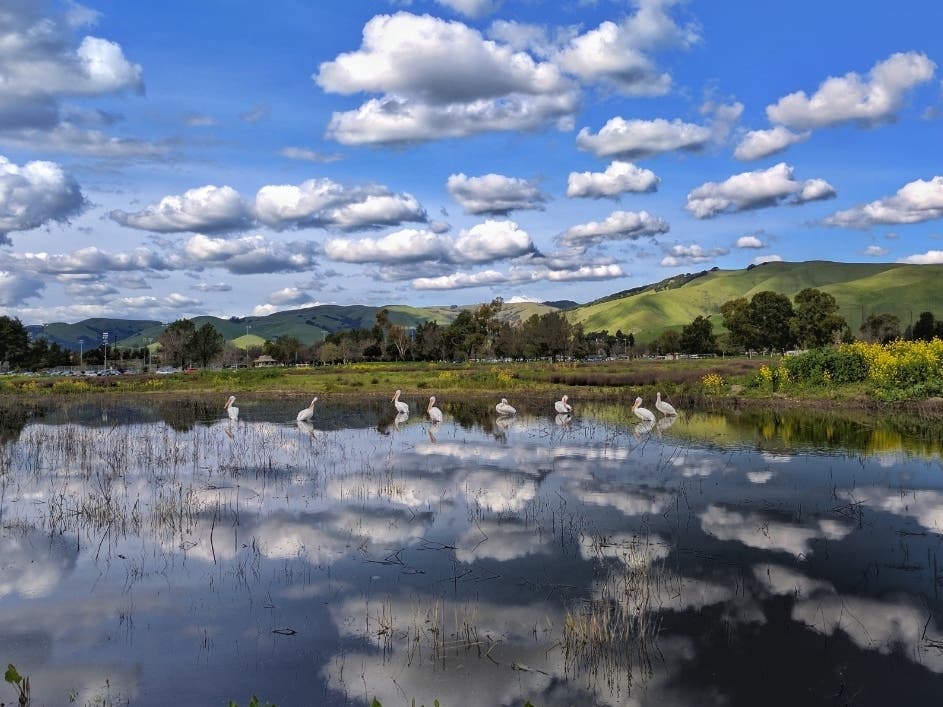 Lake Elizabeth in Central Park, Fremont, Calif.