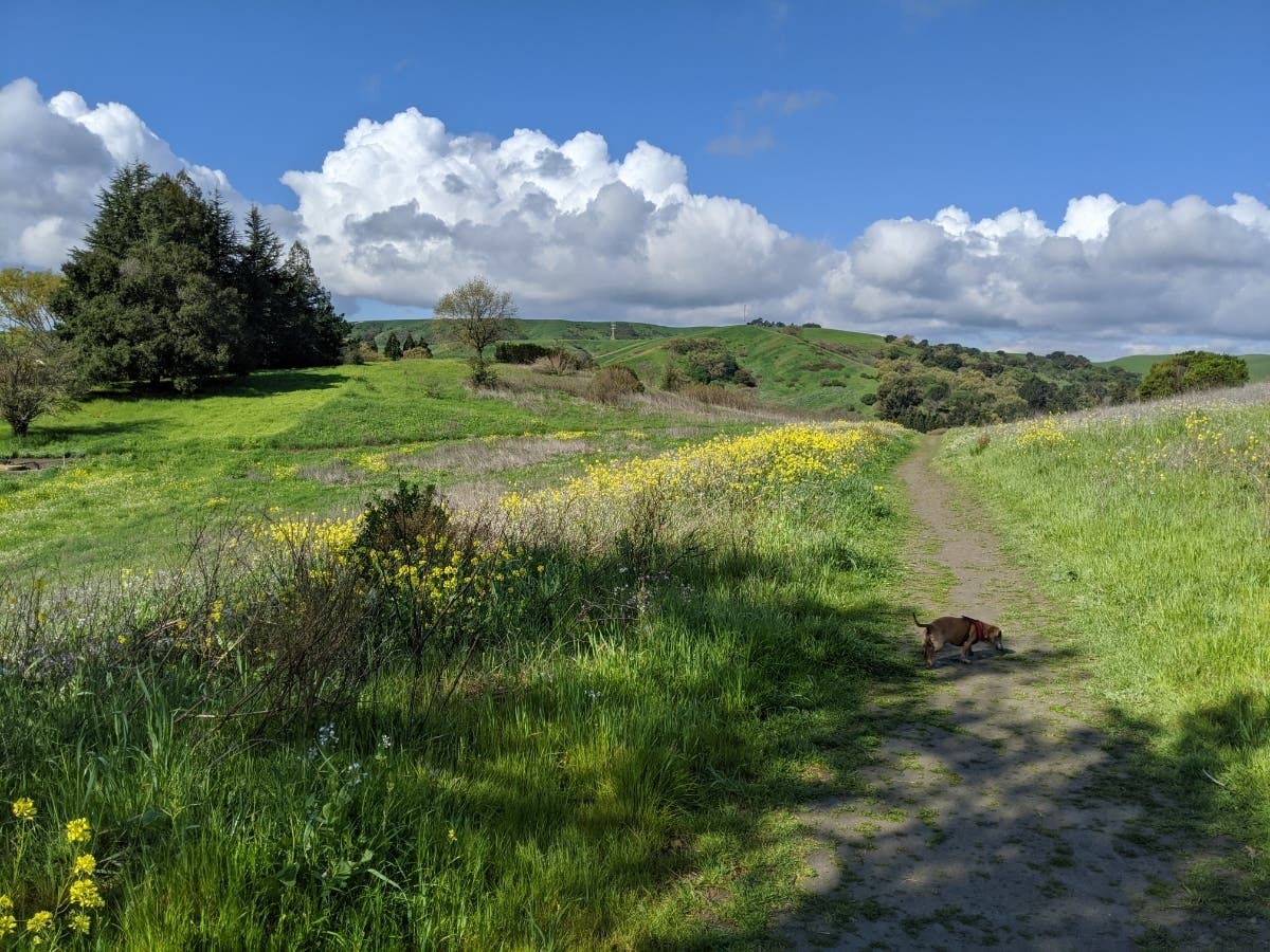 This photo shows the Burton Valley area of California.