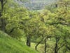 Shell Ridge hike in Walnut Creek, Calif.