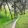 Shell Ridge hike in Walnut Creek, Calif.