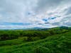 Rolling green hills with Mt. Diablo in the distance, Moraga, Calif.