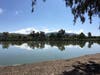 Lake Elizabeth in Central Park, Fremont, Calif.